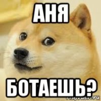 аня ботаешь?