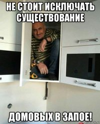 не стоит исключать существование домовых в запое!