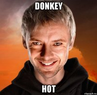 donkey hot