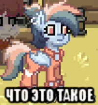  что это такое