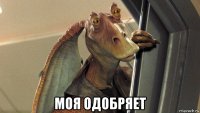  моя одобряет