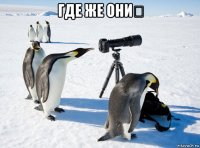 где же они？ 