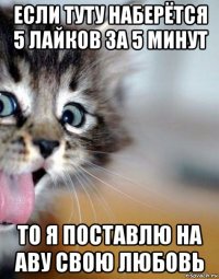 если туту наберётся 5 лайков за 5 минут то я поставлю на аву свою любовь