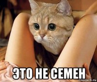  это не семен