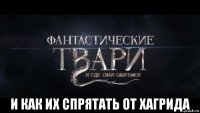  и как их спрятать от хагрида