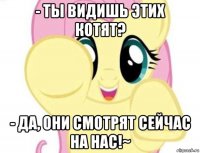- ты видишь этих котят? - да, они смотрят сейчас на нас!~