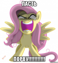 пасть порву!!!!!!!!!!!