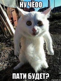 ну чёоо пати будет?