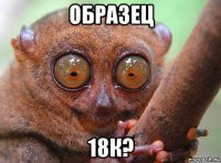 образец 18к?