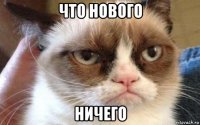 что нового ничего
