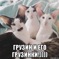  грузин и его грузинки!))))