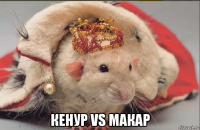  кенур vs макар