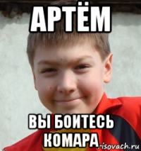 артём вы боитесь комара