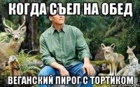 когда съел на обед веганский пирог с тортиком