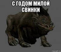 с годом милой свинки 