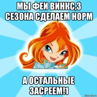 мы феи винкс,3 сезона сделаем норм а остальные засреем!1