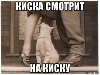 киска смотрит на киску