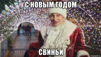 с новым годом свиньи