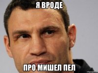 я вроде про мишел пел