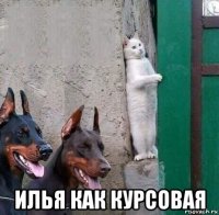  илья как курсовая