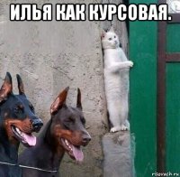 илья как курсовая. 