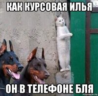 как курсовая илья он в телефоне бля