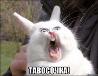  тавосочка!