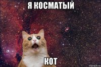 я косматый кот