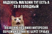 надеюсь магазин тут есть а то я голодный позвоню хозяину интересно почему хозяин не берёт трубку