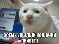  всем - унылый кошачий привет !