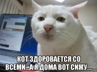  кот здоровается со всеми...а я дома вот сижу....