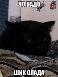 чо надо шик олада