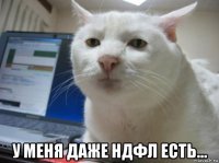  у меня даже ндфл есть...