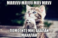мяяууу мяууу мяу мяуу помогите мне ахалай махалай