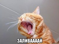  заливаааай