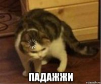  падажжи