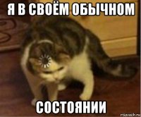 я в своём обычном состоянии