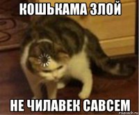 кошькама злой не чилавек савсем