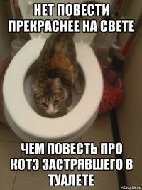 нет повести прекраснее на свете чем повесть про котэ застрявшего в туалете
