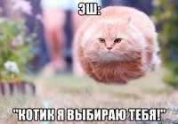 эш: "котик я выбираю тебя!"