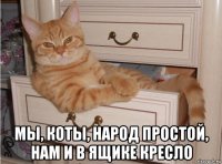  мы, коты, народ простой, нам и в ящике кресло