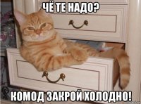 чё те надо? комод закрой холодно!