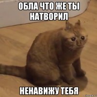 обла что же ты натворил ненавижу тебя