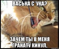 васька с*ука? зачем ты в меня гранату кинул,