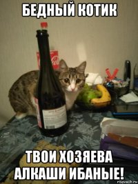 бедный котик твои хозяева алкаши ибаные!