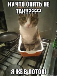 ну что опять не так!!???? я же в лоток!