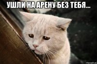 ушли на арену без тебя... 