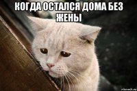 когда остался дома без жены 