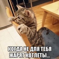  когда не для тебя жарят котлеты...