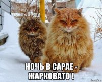  ночь в сарае - жарковато !